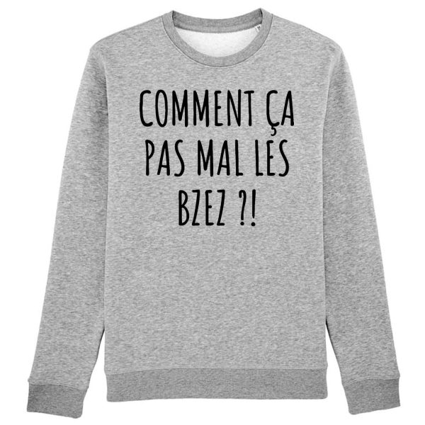 Sweat Adulte Comment ca pas mal les bzez