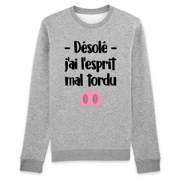 Sweat Adulte Esprit mal tordu