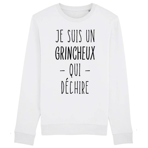 Sweat Adulte Grincheux qui dechire