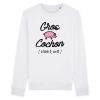 Sweat Adulte Gros cochon