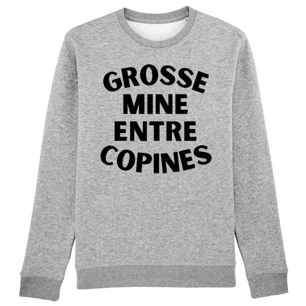 Sweat Adulte Grosse mine entre copines