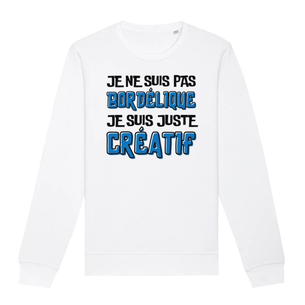 Sweat Adulte Je ne suis pas bordelique je suis creatif