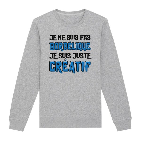 Sweat Adulte Je ne suis pas bordelique je suis creatif