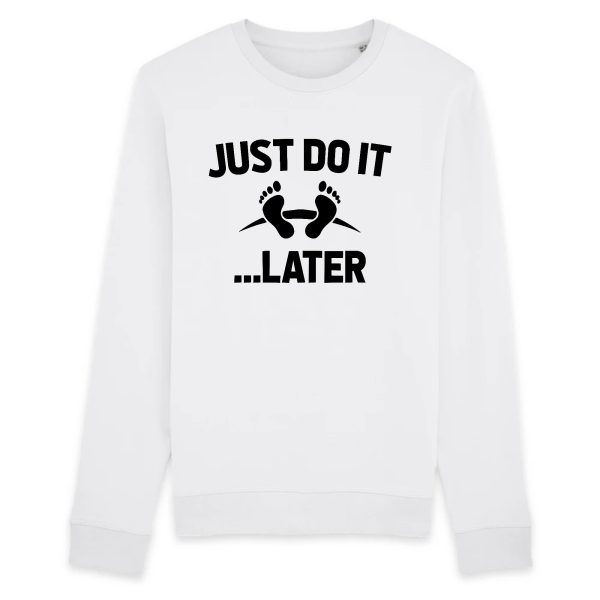 Sweat Adulte Just do it later