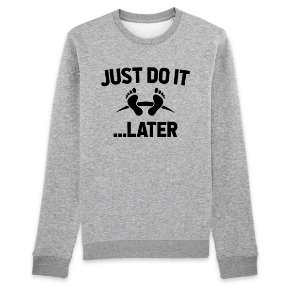 Sweat Adulte Just do it later