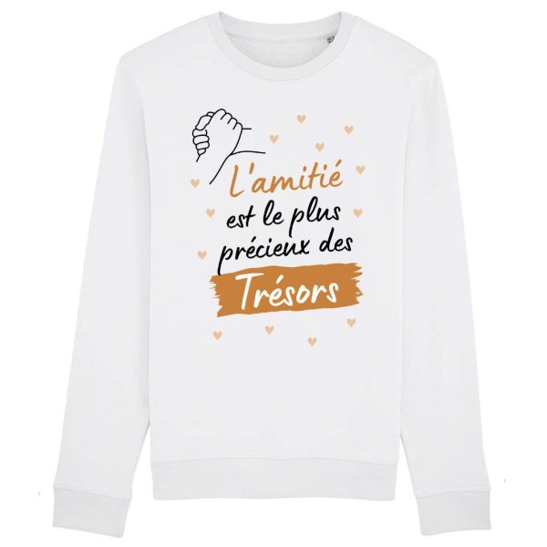 Sweat Adulte L’amitie le plus precieux des tresors