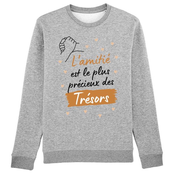 Sweat Adulte L’amitie le plus precieux des tresors