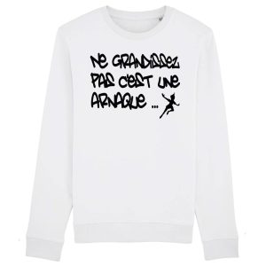 Sweat Adulte Ne grandissez pas c’est une arnaque Sweat Adulte Ne grandissez pas c’est une arnaque