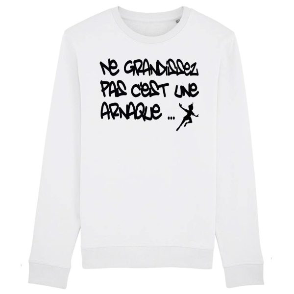 Sweat Adulte Ne grandissez pas c’est une arnaque