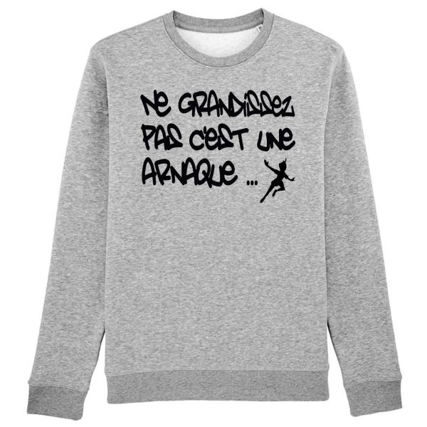 Sweat Adulte Ne grandissez pas c’est une arnaque