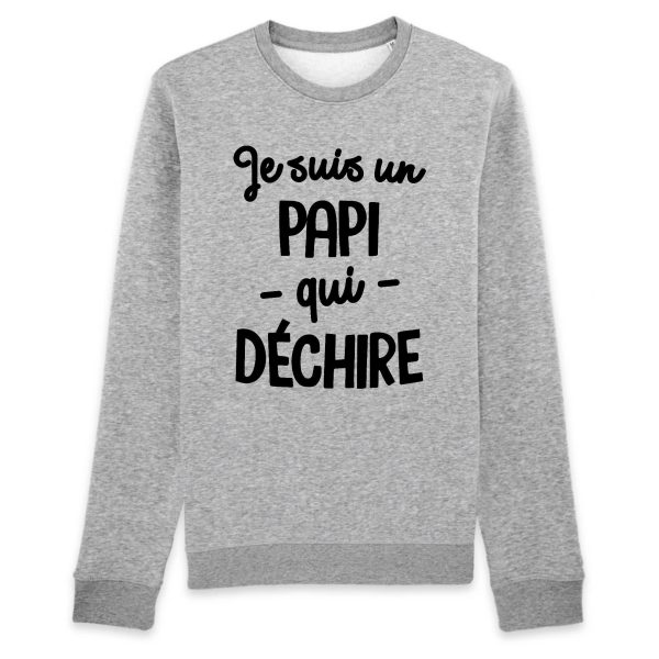 Sweat Adulte Papi qui dechire