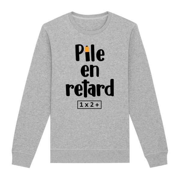 Sweat Adulte Pile en retard