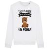 Sweat Adulte Tout plaquer pour devenir un poney
