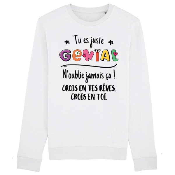 Sweat Adulte Tu es genial crois en tes reves