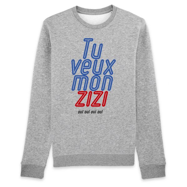 Sweat Adulte Tu veux mon zizi