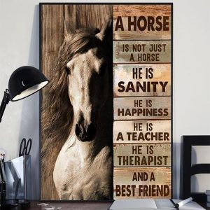 A Horse Is Not Just A Horse He Is Sanity He Is Happiness He Is A Teacher He Is Therapist And A Best Friend  White Horse Canvas Poster