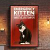 Emergency Kitten In Case Of Unhappiness Break Glass (Gently) Naive Black Cat Canvas Poster