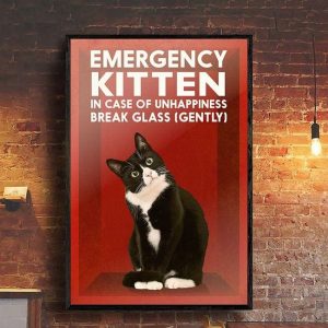 Emergency Kitten In Case Of Unhappiness Break Glass (Gently) Naive Black Cat Canvas Poster