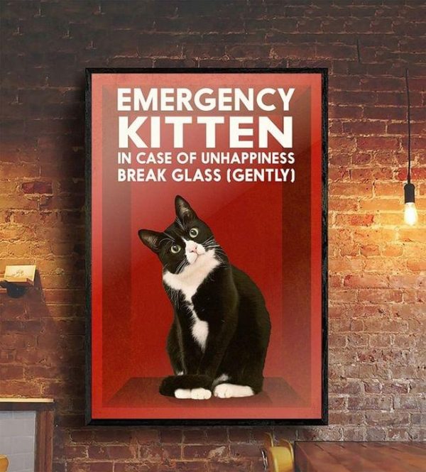 Emergency Kitten In Case Of Unhappiness Break Glass (Gently) Naive Black Cat Canvas Poster