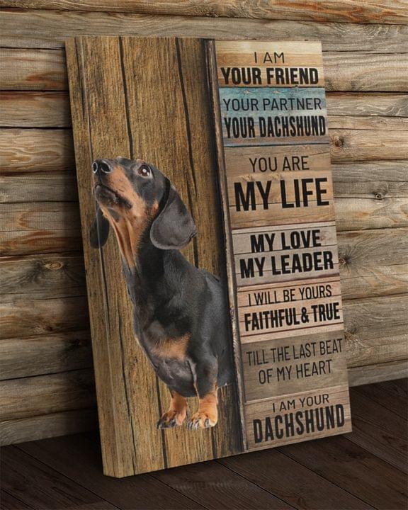 Friend Dachshund And My Life Love Leader Faithful And True Dog Pet Canvas Poster Friend Dachshund And My Life Love Leader Faithful And True Dog Pet Canvas Poster