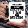 I’m German You Couldn’t Handle Me Even If I Came With Instruction Quotes White Mug
