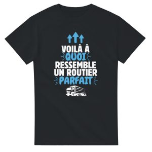 T-shirt Routier Voila a quoi ressemble un routier parfait T-shirt Routier Voila a quoi ressemble un routier parfait