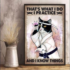 That’s What I Do I Practice And I Know Things Cat Doing Karate Kung Fu Martial Art Canvas Poster