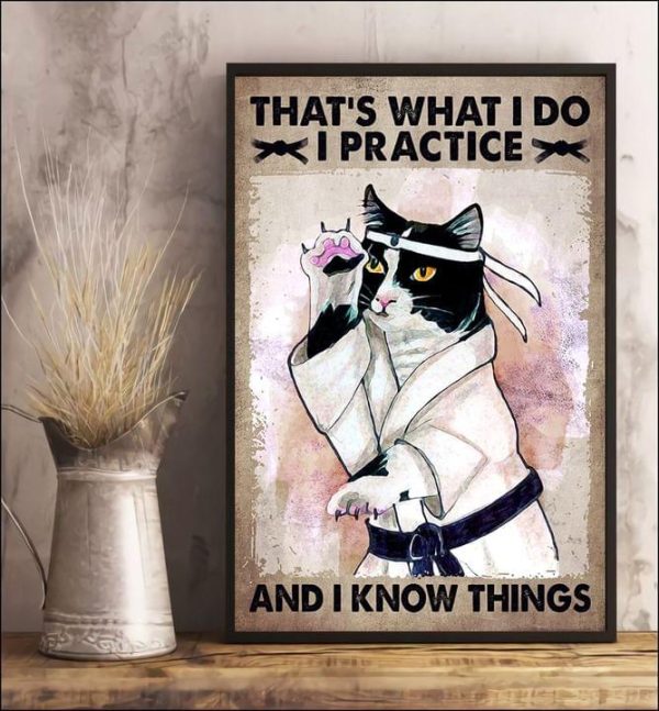 That’s What I Do I Practice And I Know Things Cat Doing Karate Kung Fu Martial Art Canvas Poster
