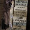 Whispered Back I Am The Storm Horse Strong Canvas Poster