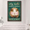Why Hello Sweet Cheeks Have A Seat Baby Hamster Mouse Canvas Poster