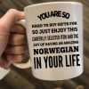 You Are So Hard To Buy Gifts For Norwegian In Your Life Gift Simple White Mug