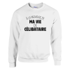 Sweat EVG a la memoire de ma vie de celibataire