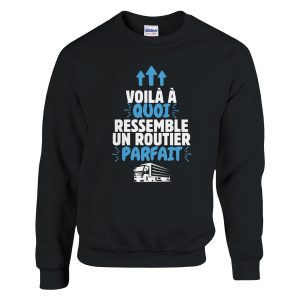 Sweat Routier Voila a quoi ressemble un routier parfait