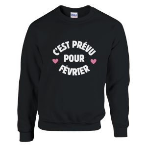 Sweat annonce grossesse C’est prevu pour Fevrier