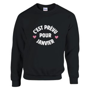 Sweat annonce grossesse C’est prevu pour Janvier