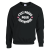 Sweat annonce grossesse C’est prevu pour septembre