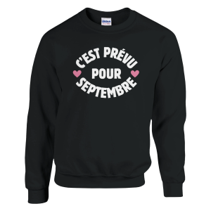 Sweat annonce grossesse C’est prevu pour septembre
