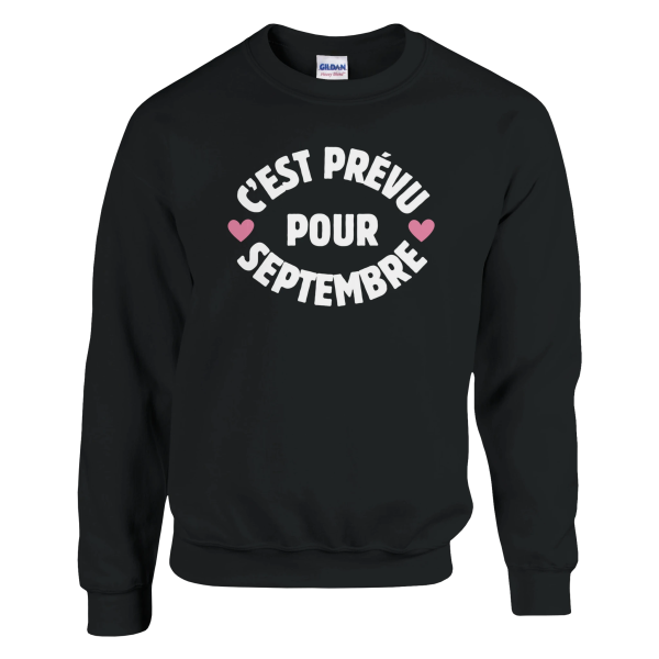Sweat annonce grossesse C’est prevu pour septembre
