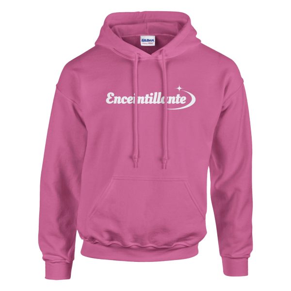 Sweat a capuche annonce grossesse Enceintillante